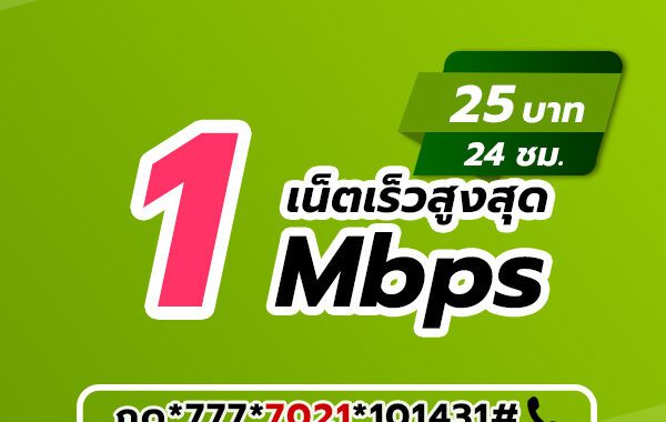 เน็ตวันทูคอล 25 บาท 1 วัน