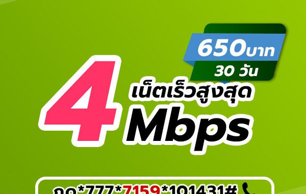 เน็ตวันทูคอล 650 บาท 30 วัน